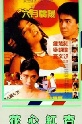 手机在线一区二区三区